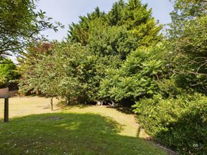 garden one - click for photo gallery